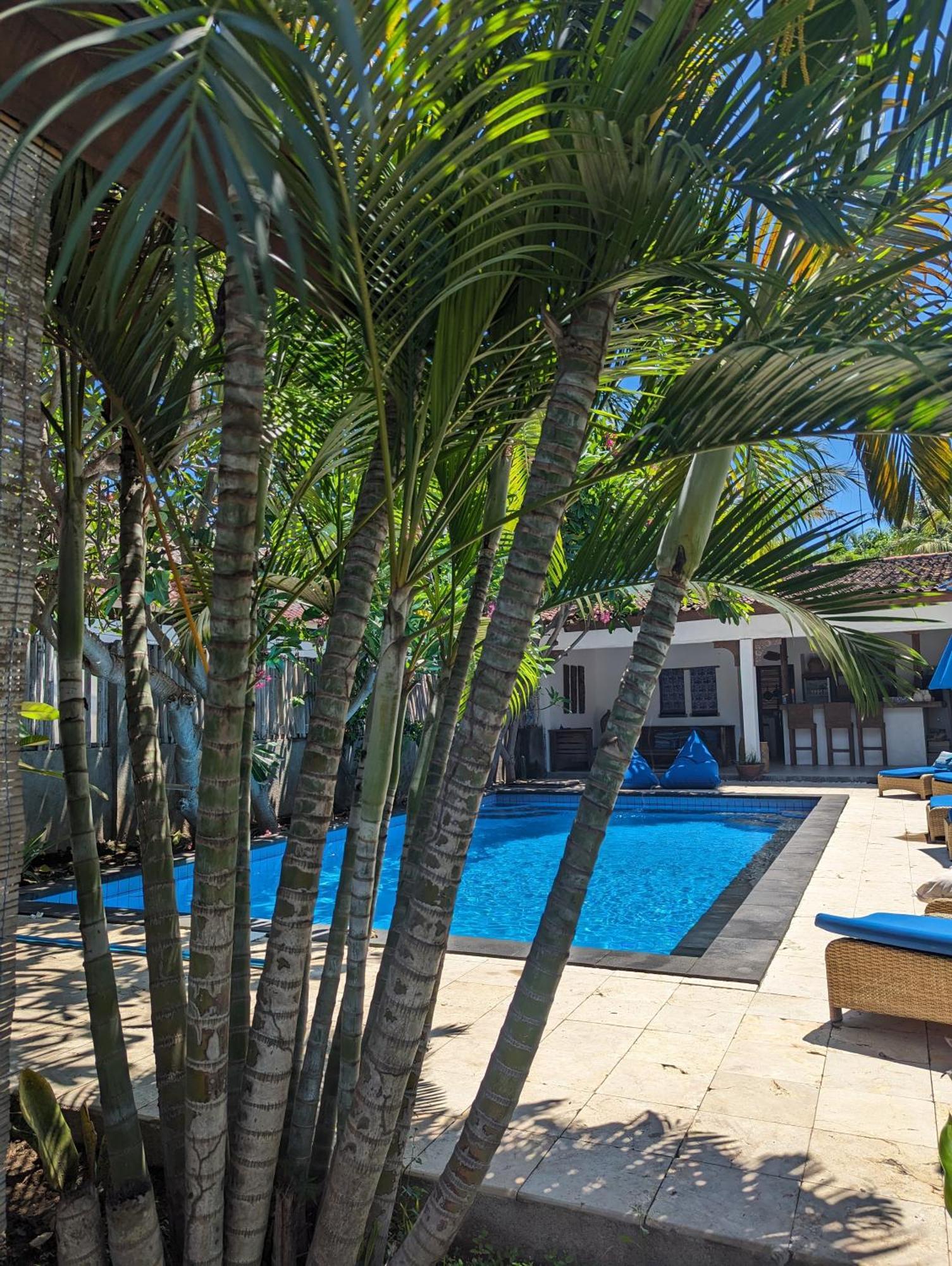 גילי טרוונגן Indigo Bungalows מראה חיצוני תמונה