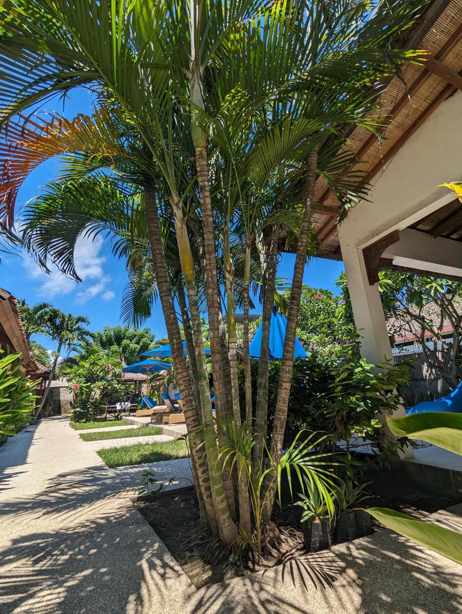 גילי טרוונגן Indigo Bungalows מראה חיצוני תמונה