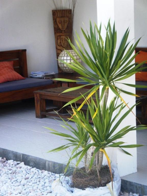 גילי טרוונגן Indigo Bungalows מראה חיצוני תמונה